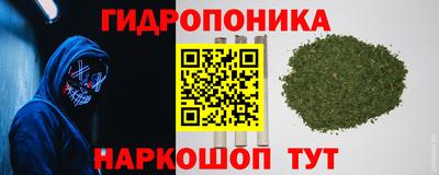 PSILOCYBIN Ачхой-Мартан
