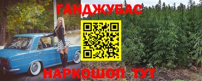 индика Аша