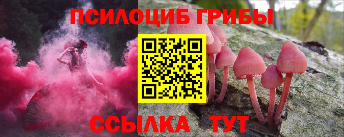 наркота  Галлюциногенные грибы мицелий  Вход с VPN  Псилоцибиновые грибы ЛСД  Заводоуковск 