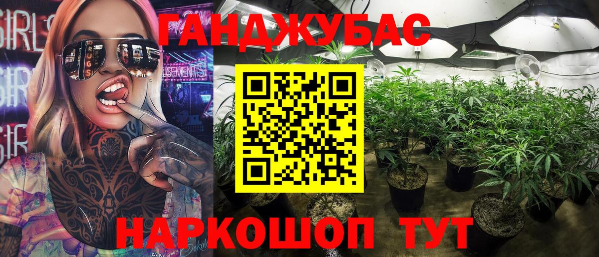 Бошки марихуана SATIVA & INDICA  Конопля MAZAR  Конопля тримм  Бошки марихуана THC 21%  Заводоуковск  Вход с VPN 
